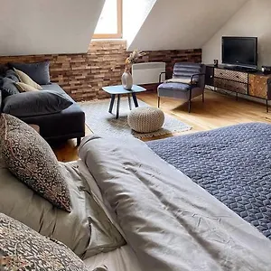 Apartment Cozy And Warm In The Heart Of, Karlsbad